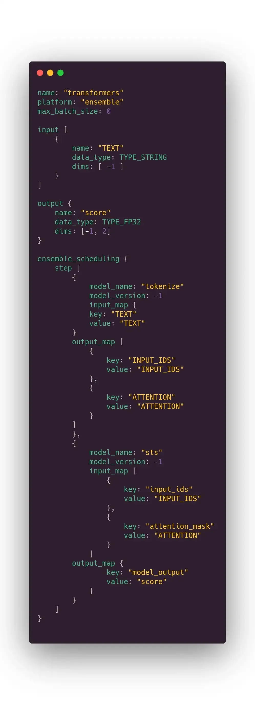 Configuration file to plug the tokenizer output to the model input