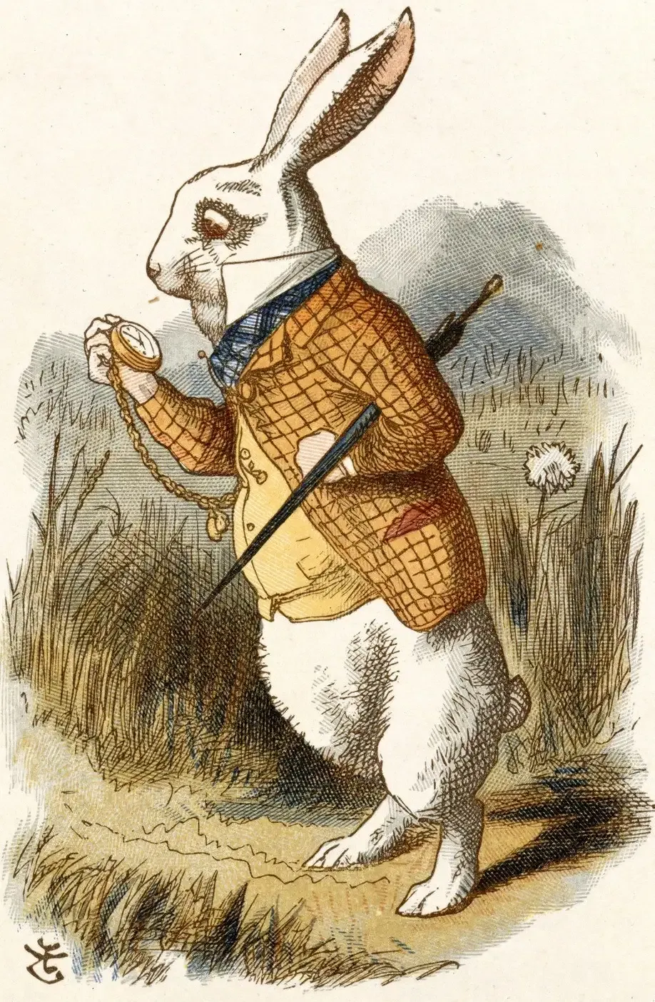 The White Rabbit